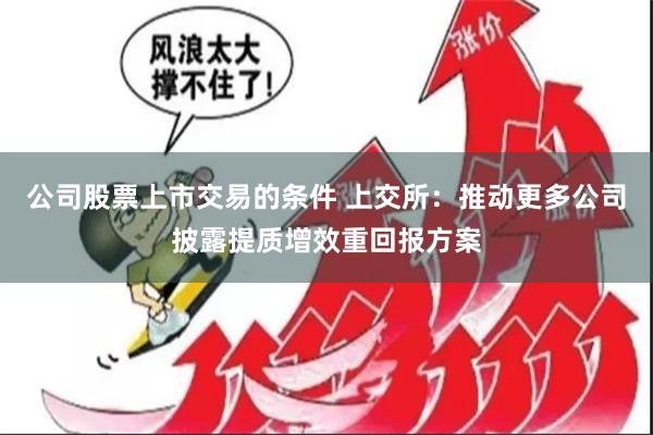 公司股票上市交易的条件 上交所：推动更多公司披露提质增效重回报方案