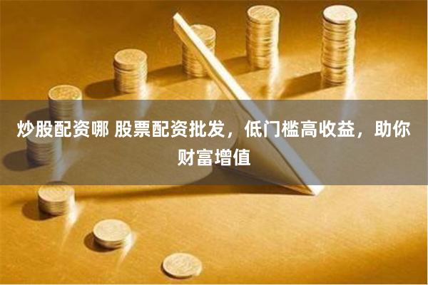 炒股配资哪 股票配资批发，低门槛高收益，助你财富增值